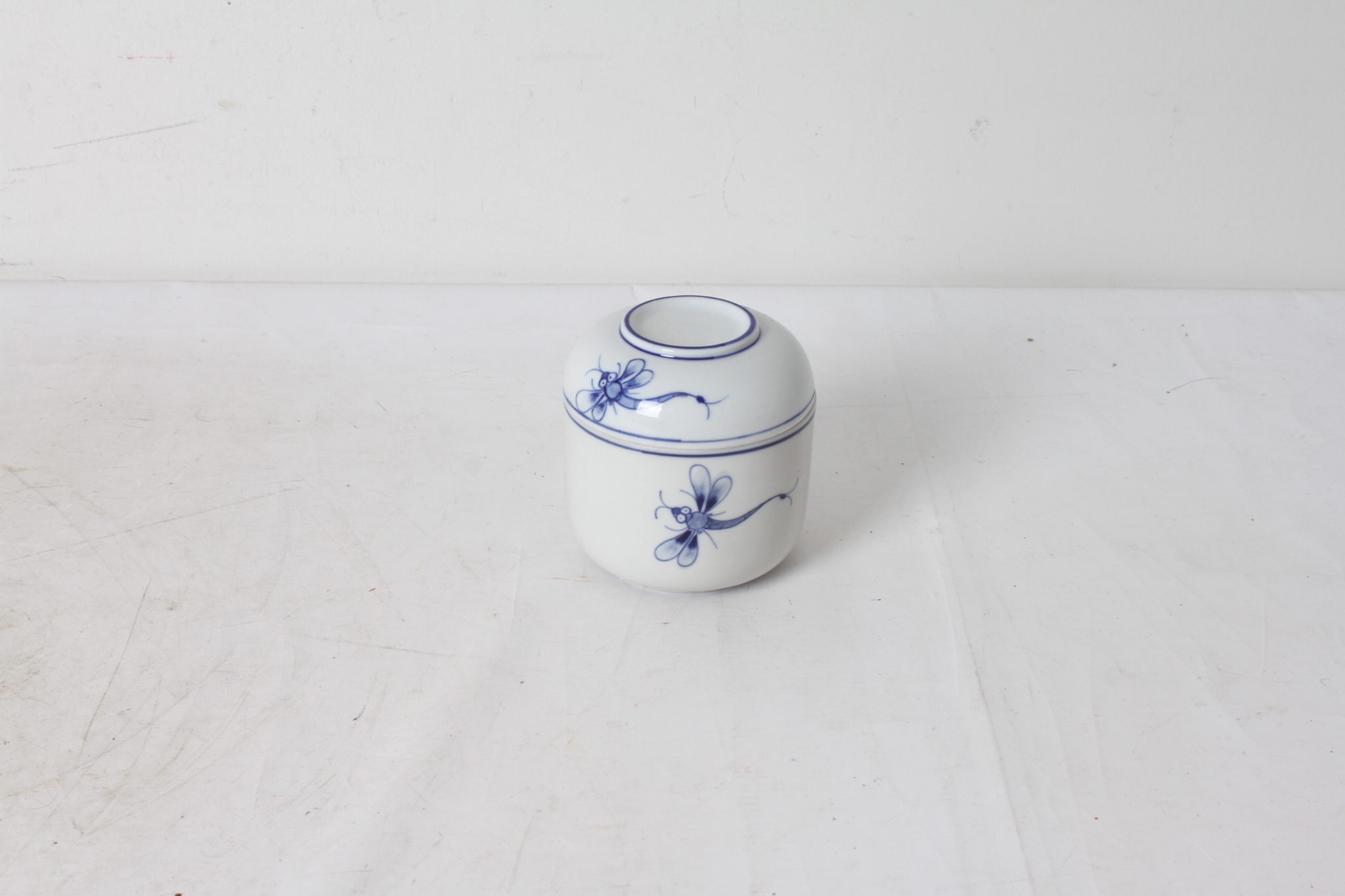 petit-pot-porcelaine-blanche-decor-libellule-bleu-objets-deco-art-de-la-table-occasion-emmaus-scherwiller-etikette (2)