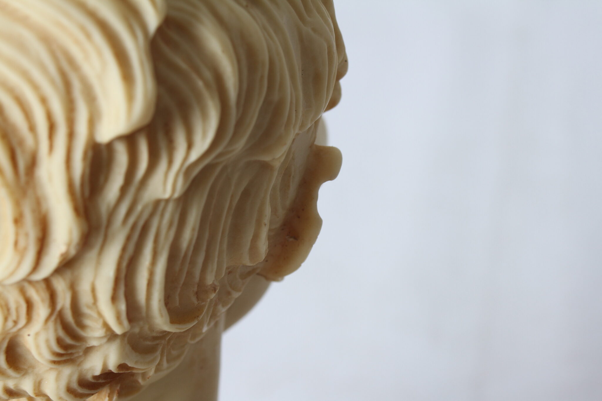buste-alexandre-brongniart-resine-sculptee-objets-deco-brocante-occasion-emmaus-scherwiller-etikette (8)