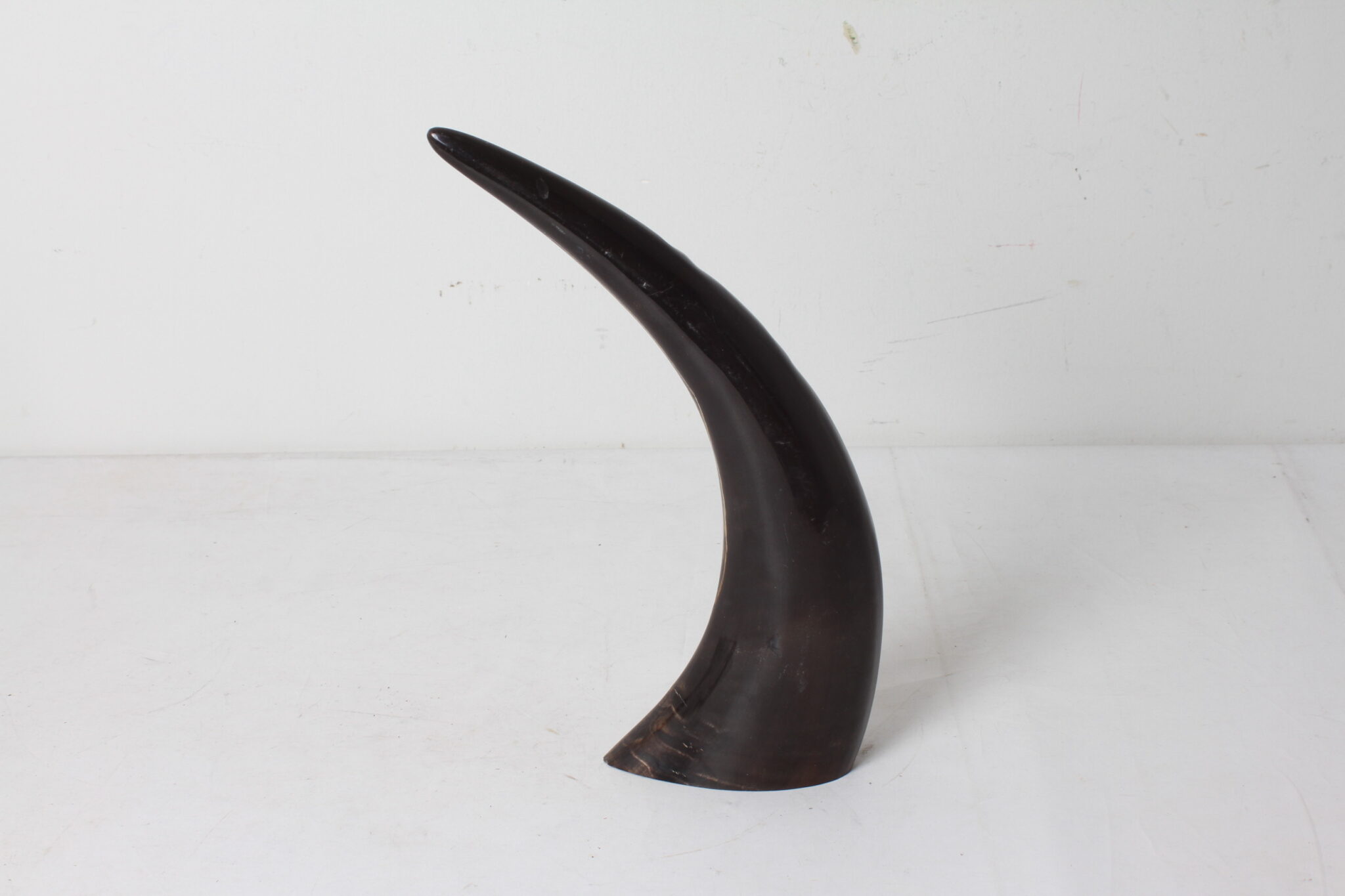 corne-decorative-sculptee-hiboux-chouettes-objerts-deco-brocante-occasion-emmaus-scherwiller-etikette (1)