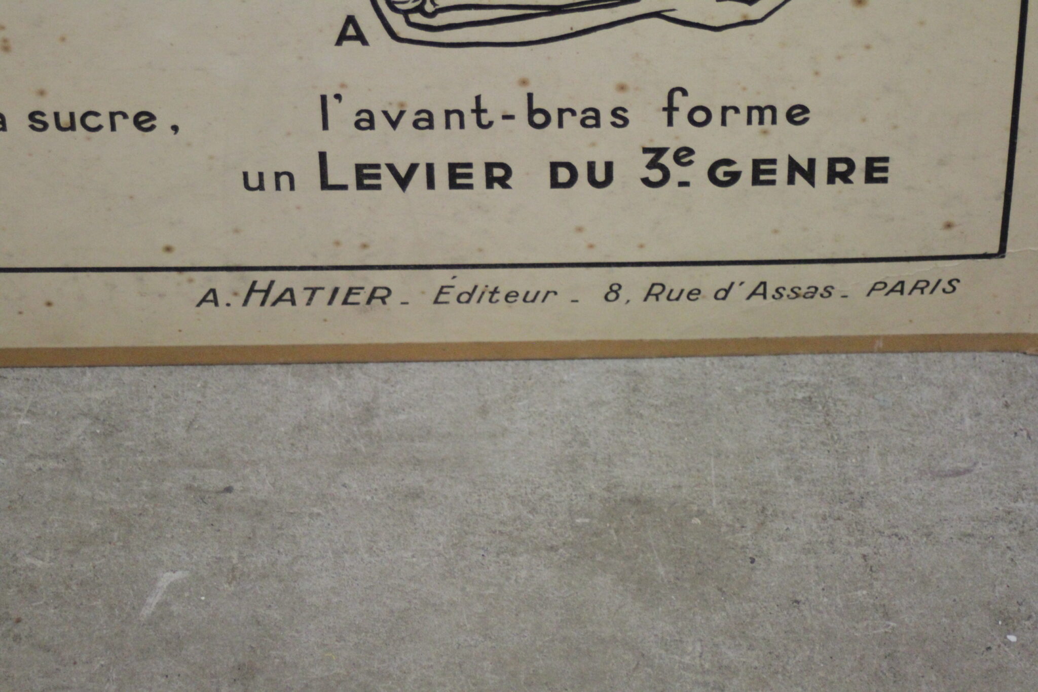 lot-de-6-anciennes-affiches-scolaires-en-carton-editions-hatier-c-dirard-e-et-e-carron-objets-deco-brocante-occasion-emmaus-scherwiller-etikette (1)